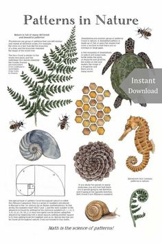 a poster with different types of plants and animals