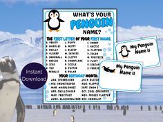 penguin name tags with penguins in the background