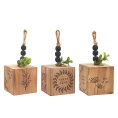 three wooden blocks with plants growing out of them and rope tied to the top one