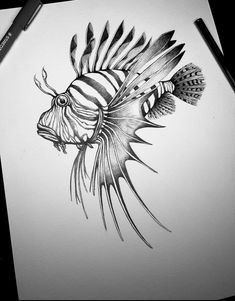 a pencil drawing of a fish with feathers on it's head and an eyeball in its mouth