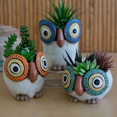 three ceramic owl planters with succulents and plants in them on a table