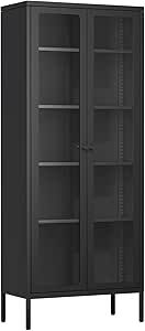 a tall black cabinet with glass doors on the front and bottom shelves, against a white background