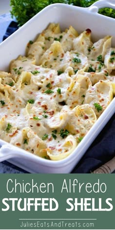 chicken alfredo stuffed shells in a white casserole dish with parsley on the side