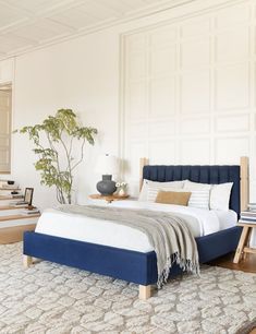 a bedroom with white walls, blue bedding and a plant on the side of the bed