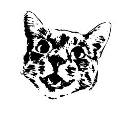 a black and white drawing of a cat's face