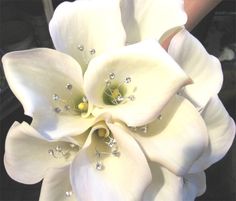 a close up of a white flower on a person's hand