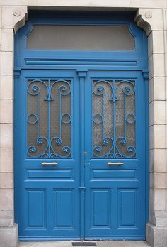 a cat sitting on the ground in front of a blue door with wrought iron bars