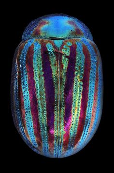 an image of a colorful object that is made out of glass on a black background