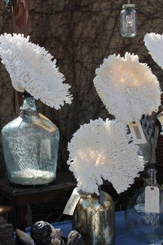 three vases filled with white flowers sitting on top of a table