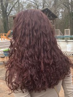 Very Dark Burgundy Hair, Burgundy On Curly Hair, Dark Brown And Red Curly Hair, Mahogany Hair Color On Curly Hair, Maroon Hair Color With Highlights, Burgundy Brown Curly Hair, Natural Red Highlights In Brown Hair Curly, Dark Cherry Brown Hair Curly, Dark Red Hair Aesthetic Curly