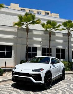 a white porsche suv parked in front of a building with palm trees on the side