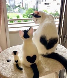 two black and white cats sitting on top of a table next to an open window