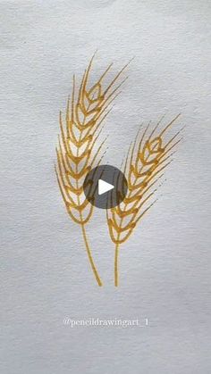 an image of a video screen with wheat on it