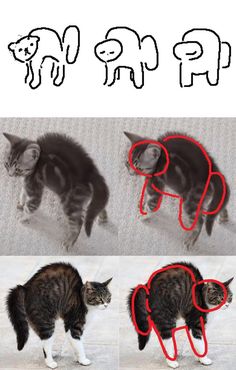 three pictures of cats with glasses on their heads and one has a cat's head in the shape of a mouse