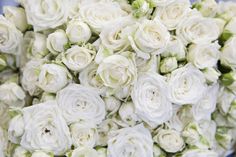 a bouquet of white roses is shown in close up