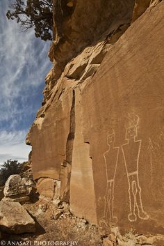 a rock with some drawings on it and a tree in the background, near an outcropping