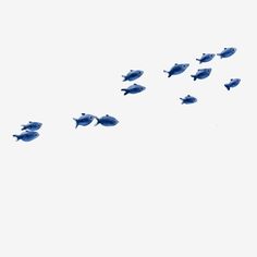 a flock of birds flying in the sky