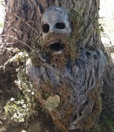 a creepy looking tree with moss growing on it's trunk and face in the bark