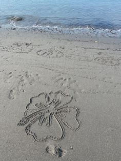 a clover leaf drawn in the sand at the beach