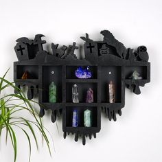 a black shelf filled with lots of different types of rocks and crystals next to a potted plant