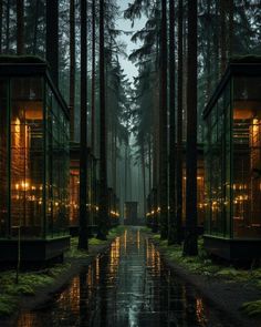 a dark forest with lots of trees and lights on the windows, reflecting off water