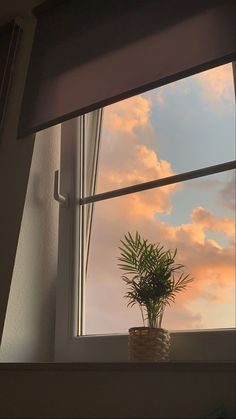 a potted plant sitting on top of a window sill under a cloudy sky