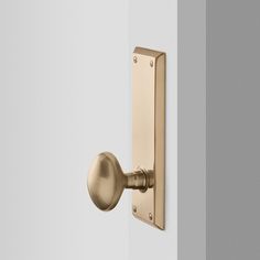 an open door with a brass handle on the front and side of it, against a white wall