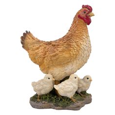 a chicken and two chicks are standing on a rock