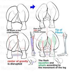 the diagram shows how to draw an elephant's trunk and lower body, with different positions