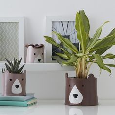 there are two planters with plants in them on the shelf next to each other