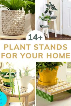 Plant Stand Ideas: 20+ Ideas to Try Plant Stand Ideas, Stand Ideas, Plant Stands