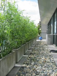 a row of planters filled with lots of rocks and plants next to a building