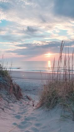 the sun is setting over the beach with tall grass