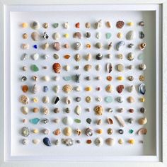 a white frame with sea shells in it