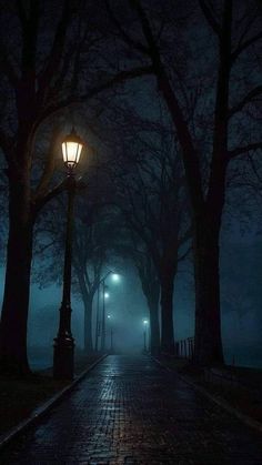 a street light sitting on the side of a brick road at night with fog in the air