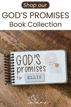 a book with the words god's promises and an image of a llama