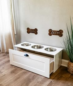 two bowls are sitting on top of a white dog bowl stand next to a potted plant