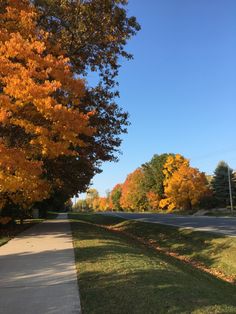 an empty street lined with trees in the fall