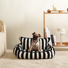 a small dog sitting on top of a black and white striped couch