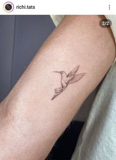 a small hummingbird tattoo on the arm