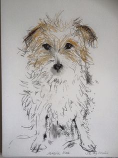 a drawing of a small dog with long hair on it's head and eyes