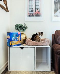 a cat sitting on top of a dog bed