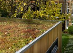 a green roof with moss growing on it