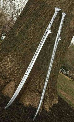 an arrow stuck in the bark of a tree