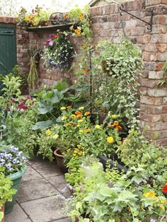 an outdoor garden with lots of flowers and plants in pots on the side of it