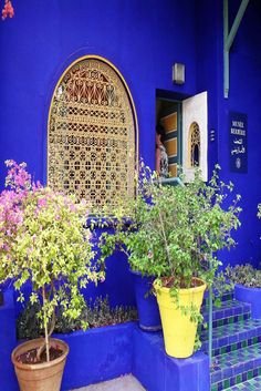 potted plants and flowers in front of a blue building with an arched window on the side