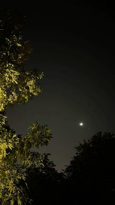 the moon shines brightly in the dark sky above trees and bushes at night time