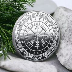 a silver coin sitting on top of a rock next to some rocks and green leaves