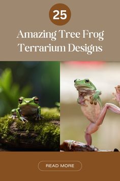 the cover of 25 amazing tree frog terrarium designs, with pictures of frogs on them