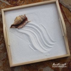 a sea shell sitting on top of sand in a wooden frame